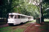 Prag sporvognslinje 12 med motorvogn 6773 ved Výstaviště Holešovice (2001)