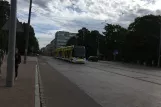 Riga sporvognslinje 11 med lavgulvsledvogn 57191 på Aspazijas bulvāris, set forfra (2018)
