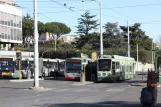 Rom sporvognslinje 19 med lavgulvsledvogn 9012 ved Verano (2009)