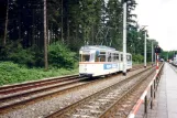 Rostock sporvognslinje 11 med ledvogn 720 nær Zoo (1993)