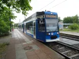 Rostock sporvognslinje 3 med lavgulvsledvogn 667 ved Dierkower Allee (2023)