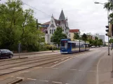 Rostock sporvognslinje 6 med lavgulvsledvogn 667 på Rosa-Luxemburg-Straße (2010)