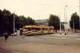 Rotterdam sporvognslinje 5 med ledvogn 363 ved Rotterdam Centraal Stationsplein (1981)