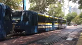 Sacramento sporvognslinje Blå med ledvogn 218 ved St. Rose of Lima Park (2021)