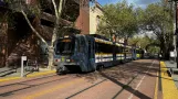 Sacramento sporvognslinje Blå med ledvogn 221 nær 8th & K Station (NB) (2024)