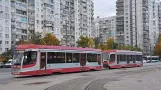 Sankt Petersborg sporvognslinje 6 med motorvogn 3708 nær Korablestroiteley St (2017)