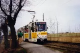 Schöneiche sporvognslinje 88 med ledvogn 21 ved Alt Rüdersdorf (1994)