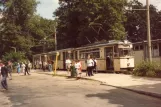 Schöneiche sporvognslinje 88 med motorvogn 81 ved Friedrichshagen (1983)