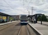Zürich sporvognslinje 11 ved Glattpark (2020)
