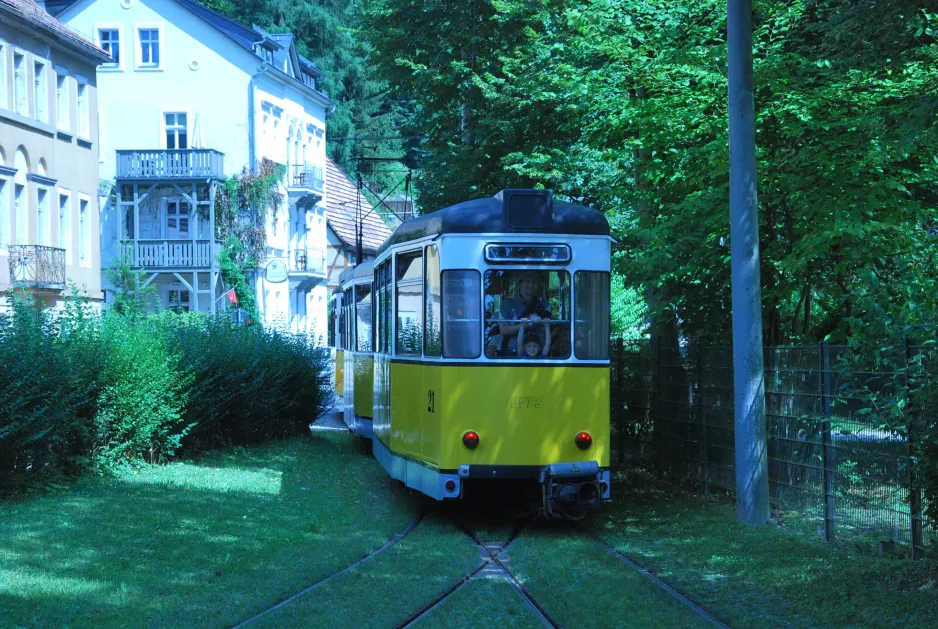 Bad Schandau Kirnitzschtal 241 med bivogn 21 ved Kurpark Bad Schandau, set bagfra (2015)