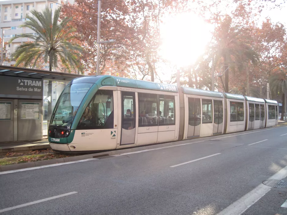 Barcelona sporvognslinje T4 med lavgulvsledvogn 14 ved Selva de Mar (2015)
