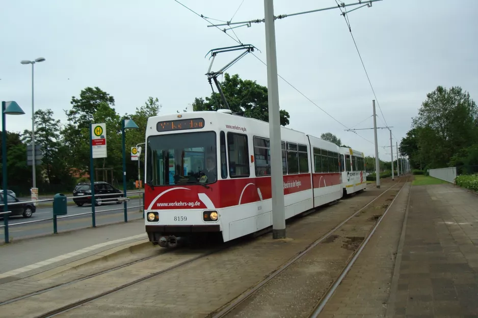 Braunschweig sporvognslinje 1 med ledvogn 8159 ved Schmalbachstraße (2010)