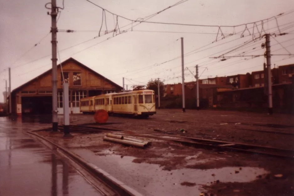 Bruxelles foran remisen Knokke (1981)