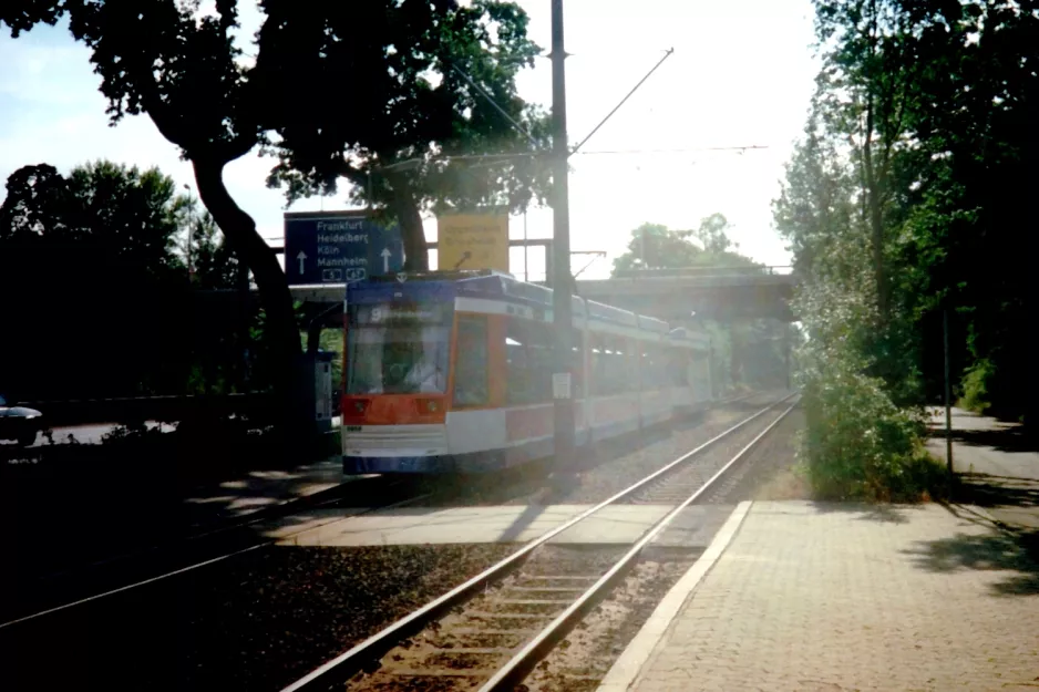 Darmstadt sporvognslinje 9 med lavgulvsledvogn 9858 på Rheinstraße (1998)