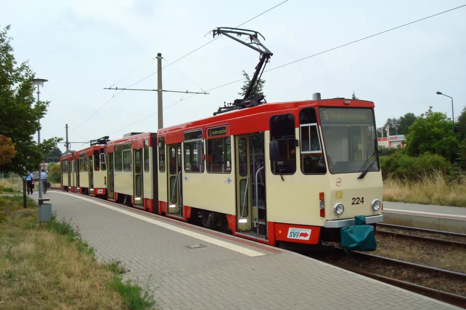 Frankfurt (Oder) ekstralinje 5 med ledvogn 224 ved Neuberesinchen (2008)