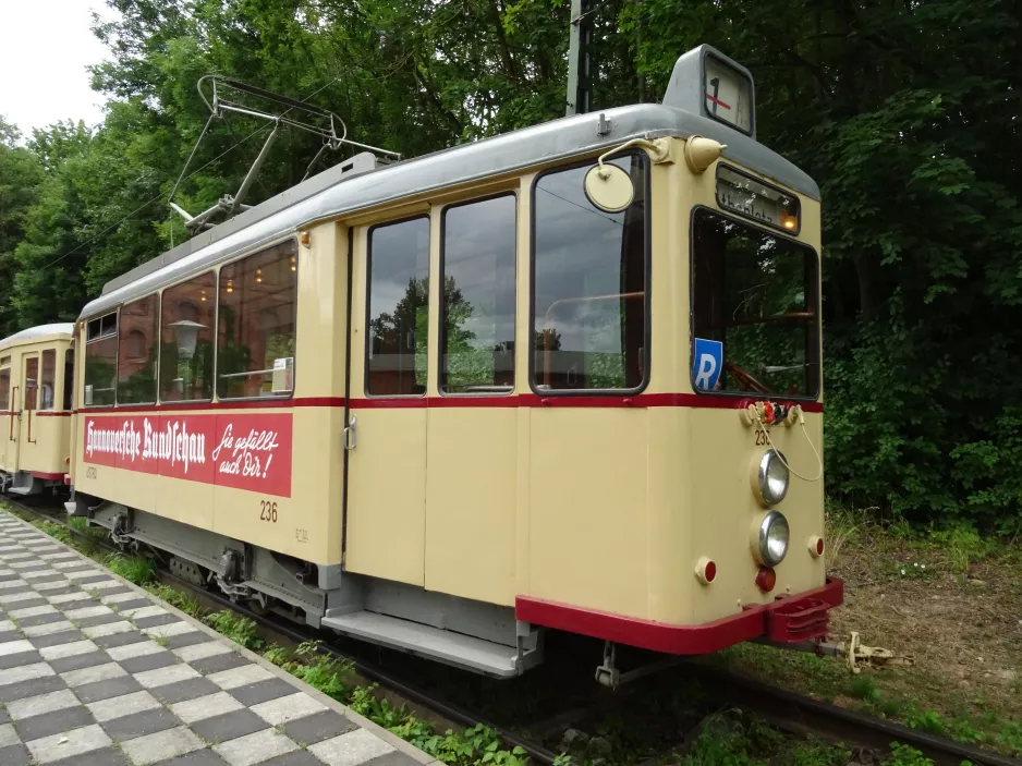 Hannover Hohenfelser Wald med motorvogn 236 ved Straßenbahn-Haltestelle (2020)
