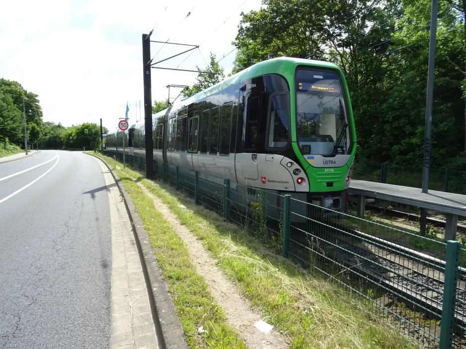 Hannover sporvognslinje 5 med ledvogn 3111 nær Anderten (2024)