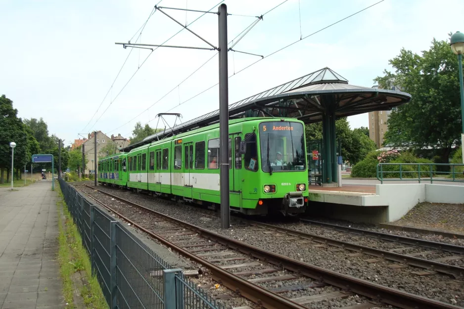 Hannover sporvognslinje 5 med ledvogn 6203 ved Stöcken (2008)