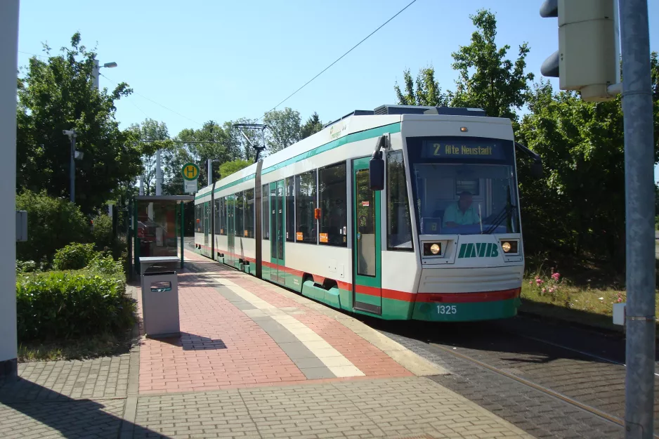 Magdeburg sporvognslinje 2 med lavgulvsledvogn 1325 ved Wasserwerk Westerhüsen (2015)