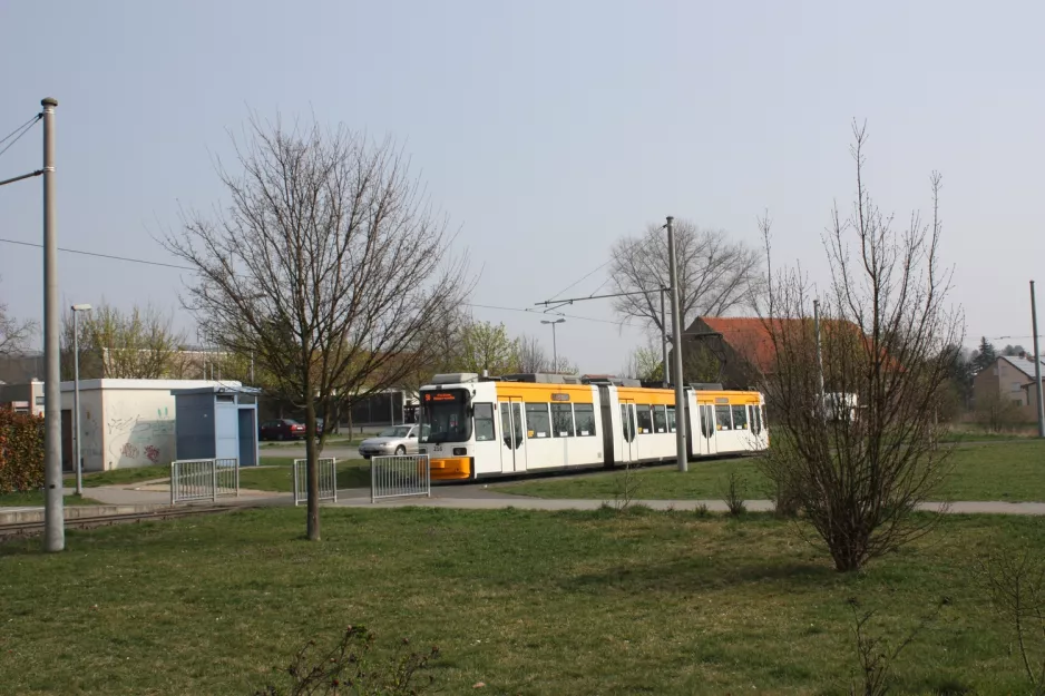 Mainz sporvognslinje 50 med lavgulvsledvogn 216 ved Bürgerhaus (2009)