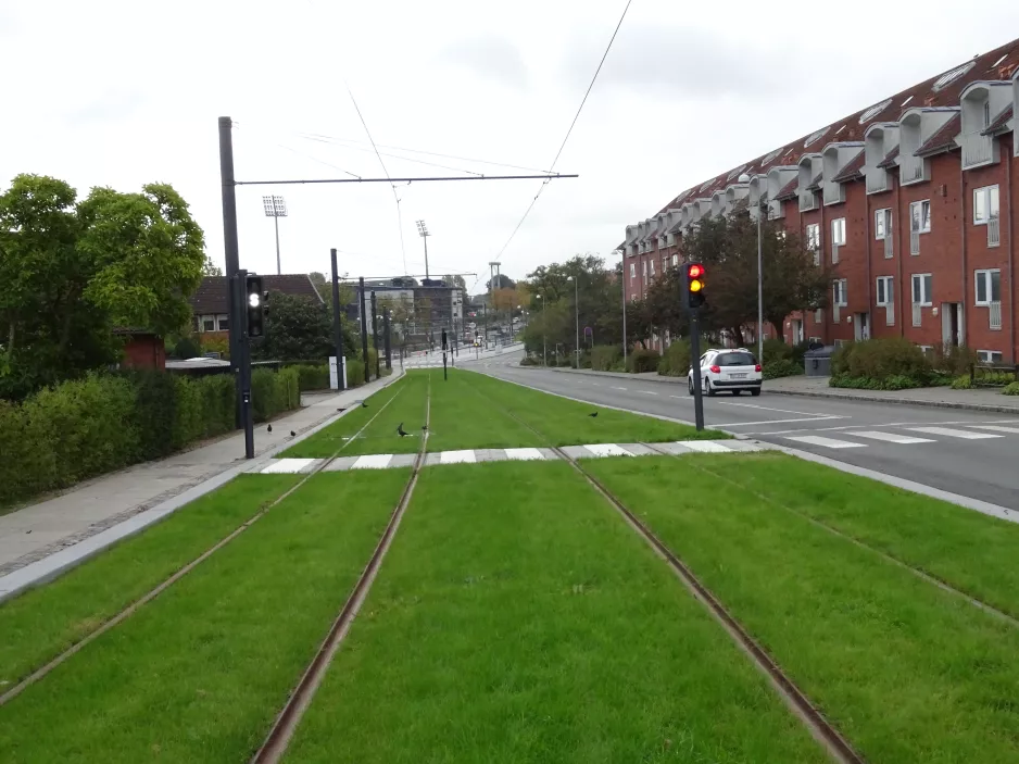 Odense i krydset Højstrupvej/Uffesvej (2021)