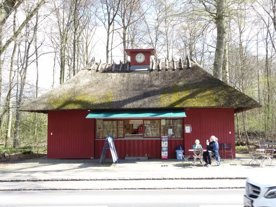 Odense ved Hunderup Skov (2019)