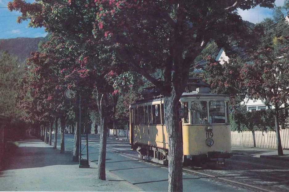 Postkort: Bergen sporvognslinje 2 med motorvogn 119 på Årstadveien (1956)