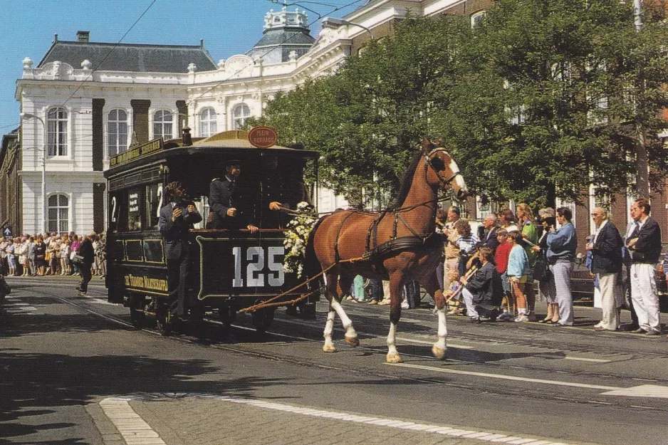 Postkort: Haag hestesporvogn 125 på Hofweg (1989)