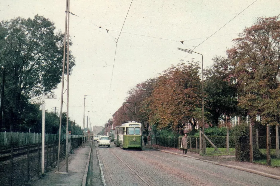Postkort: Malmø sporvognslinje 1 med motorvogn 42 på Lönngatan (1966)