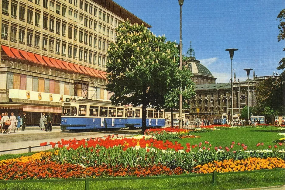 Postkort: München sporvognslinje 10 med motorvogn 972 nær Stachus (1960)