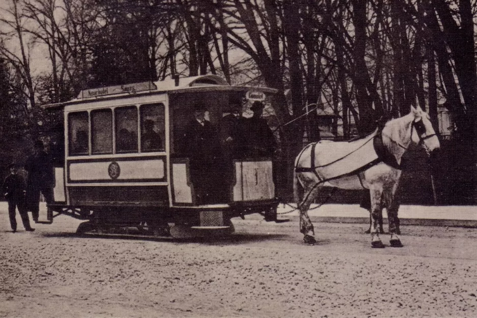 Postkort: Neuchâtel hestesporvogn 1 på Avenue du Premier-Mars (1894-1897)