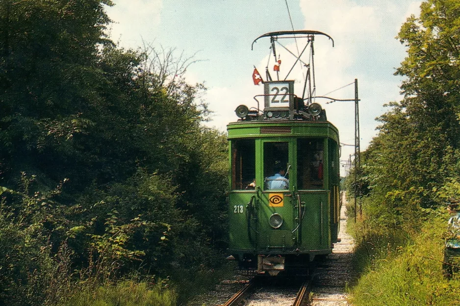 Postkort: Skjoldenæsholm meterspor med motorvogn 213 på Sporvejsmuseet (1979)