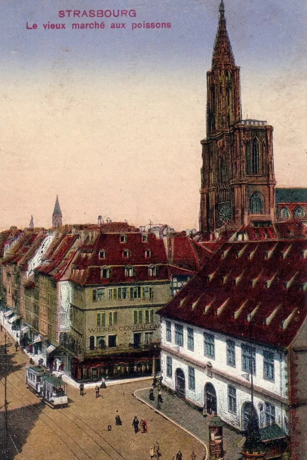 Postkort: Strasbourg på Rue du Vieux-Marché-aux-Poissons (1896)