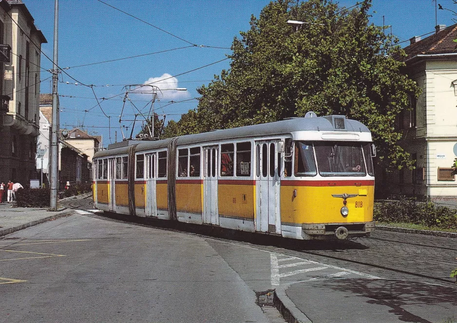 Postkort: Szeged sporvognslinje 4 med ledvogn 818 på Petőfi Sándor sugárút (1983)