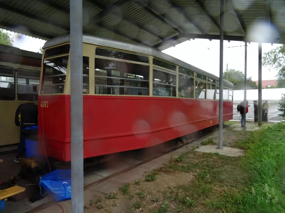 Schönberger Strand bivogn 1415 inde i Tramport (2019)