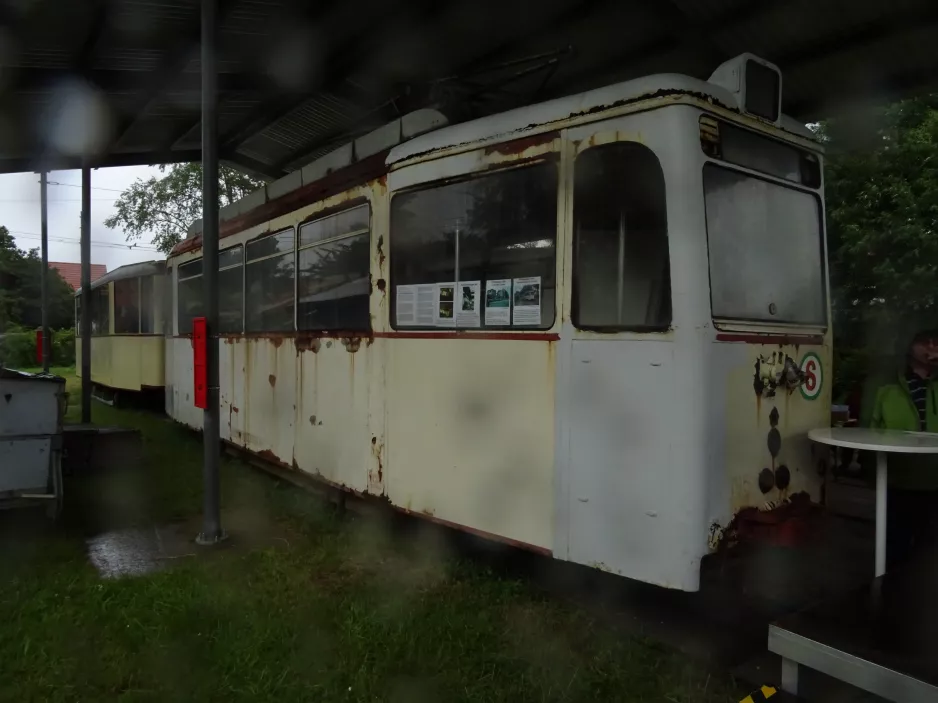 Schönberger Strand motorvogn 195 inde i Tramport (2019)