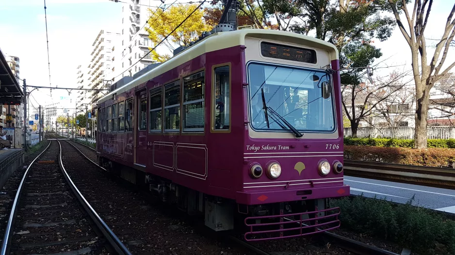 Tokyo Toei Streetcar Arakawa Line med motorvogn 7706 ved Omokagebashi (2017)