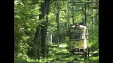 95 Jahre Woltersdorfer Straßenbahn