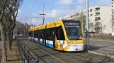 A debreceni 2-es villamos első napja / The first day of Debrecen's new tram line 2