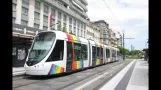 Angers Trams June 2012