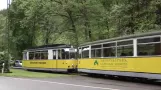 Bad Schandau trams June 2010