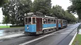 Djurgårdslinjen - old trams in Stockholm