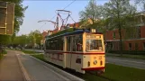Frühjahrsimpressionen mit der Naumburger Straßenbahn