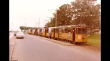 Sporvogne i Århus (1963)