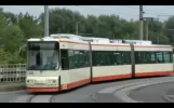 Straßenbahn Frankfurt/O linia 1
