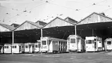 The Trams of Brisbane