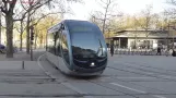 Trams à Bordeaux, France 2016